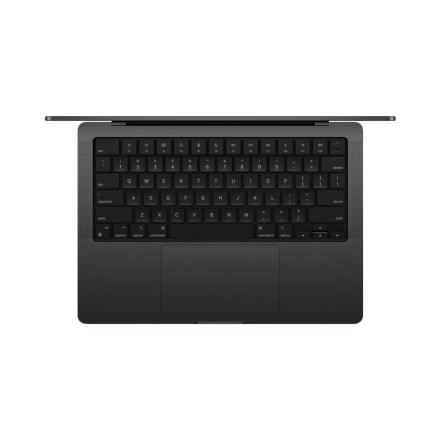 Ноутбук Apple MacBook Pro 14" M4 10c CPU, 10c GPU, 24/1TB черный космос (2024)