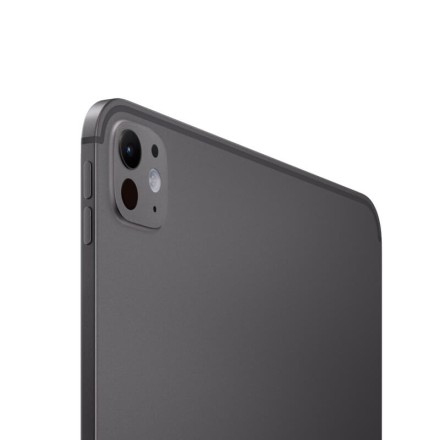 Планшет Apple iPad Pro 13" 2Tb (2024) Wi-Fi + Cellular «черный космос»